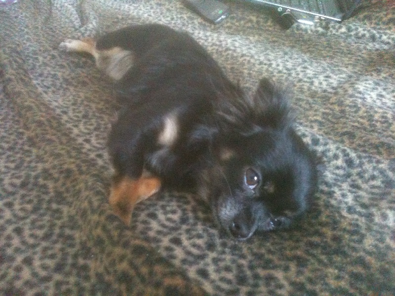 Faith De La Plaine D'illiberis